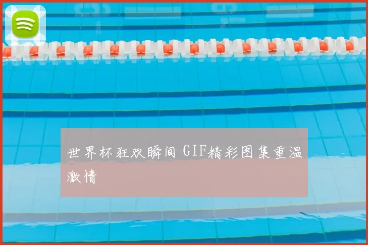 世界杯狂欢瞬间 GIF精彩图集重温激情