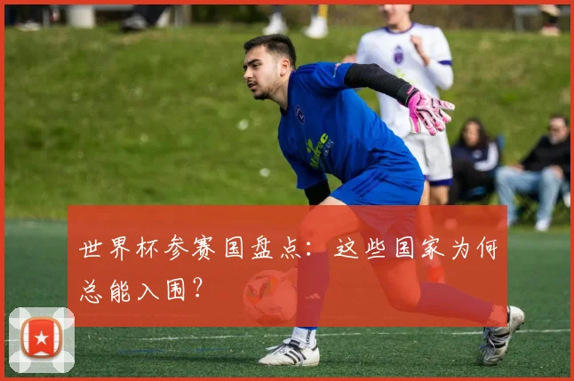 世界杯参赛国盘点：这些国家为何总能入围？