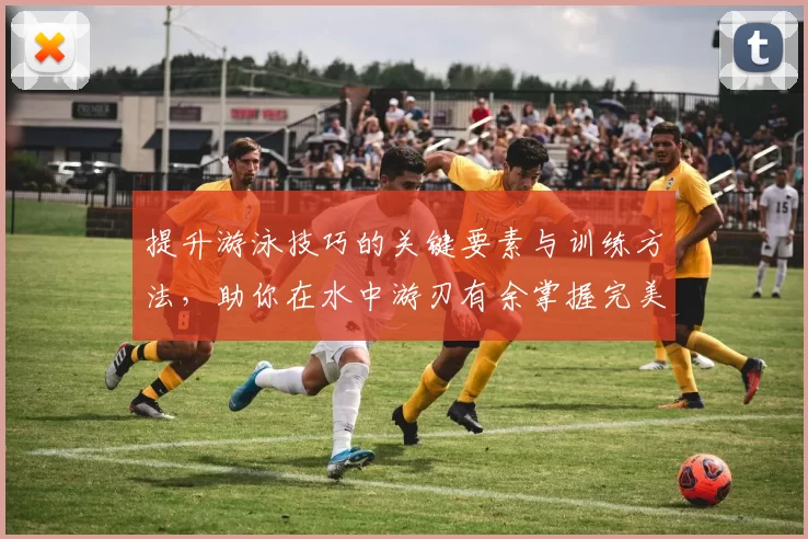 提升游泳技巧的关键要素与训练方法，助你在水中游刃有余掌握完美泳姿