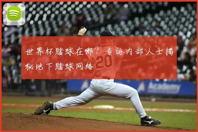 世界杯赌球在哪？专访内部人士揭秘地下赌球网络