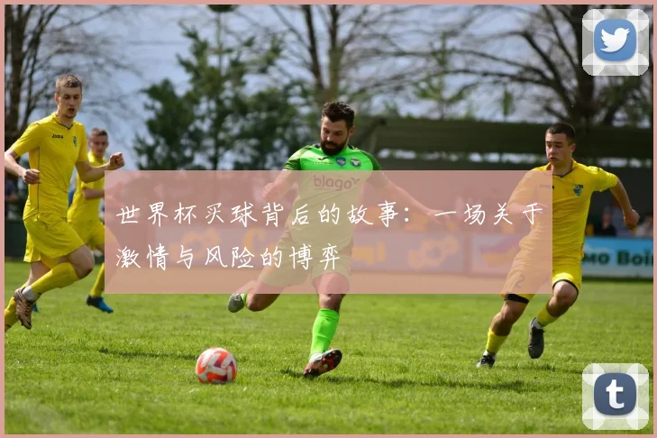 世界杯买球背后的故事：一场关于激情与风险的博弈