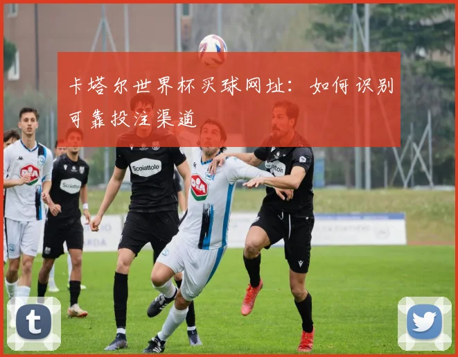 卡塔尔世界杯买球网址：如何识别可靠投注渠道