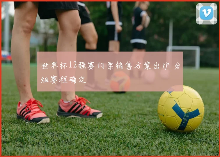 世界杯12强赛门票销售方案出炉 分组赛程确定