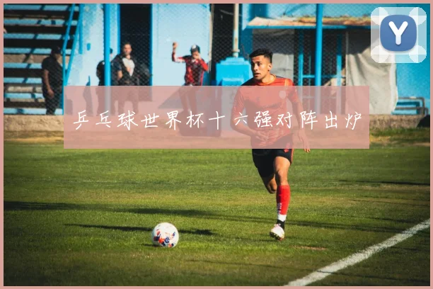 乒乓球世界杯十六强对阵出炉