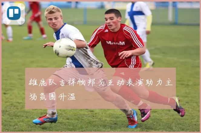 雄鹿队吉祥物邦戈互动表演助力主场氛围升温