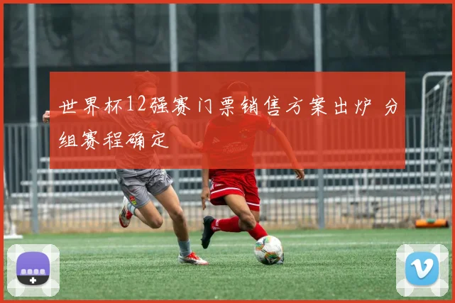 世界杯12强赛门票销售方案出炉 分组赛程确定