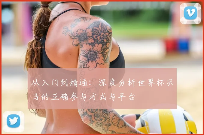 从入门到精通：深度分析世界杯买马的正确参与方式与平台