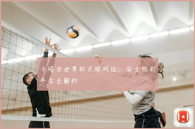卡塔尔世界杯买球网址：安全购彩平台全解析