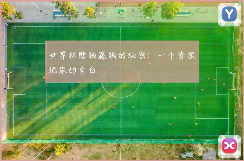 世界杯赌钱赢钱的秘密：一个资深玩家的自白