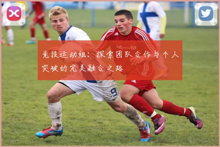 竞技运动组：探索团队合作与个人突破的完美融合之路